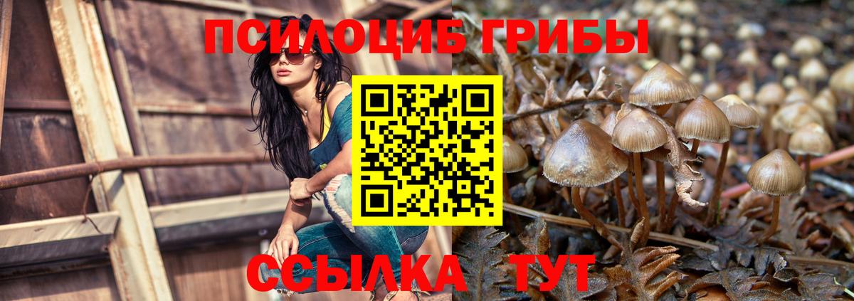 Сунжа  Псилоцибиновые грибы Cubensis  Псилоцибиновые грибы MAGIC MUSHROOMS  Вход с VPN 